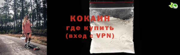 твердый Богородск