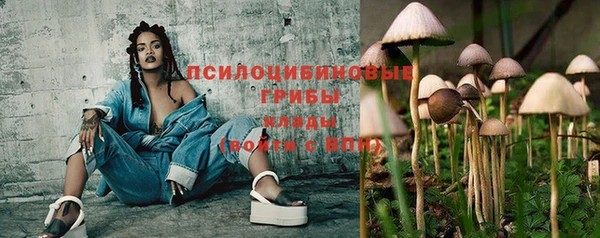 a pvp Богданович