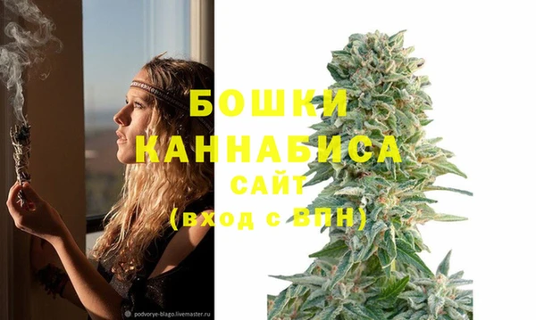 a pvp Богданович