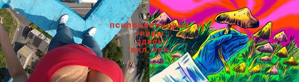 меф VHQ Новозыбков