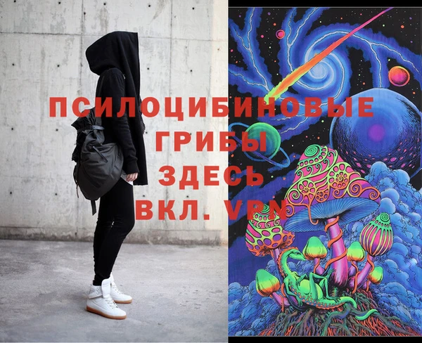 прущий лед Богородицк
