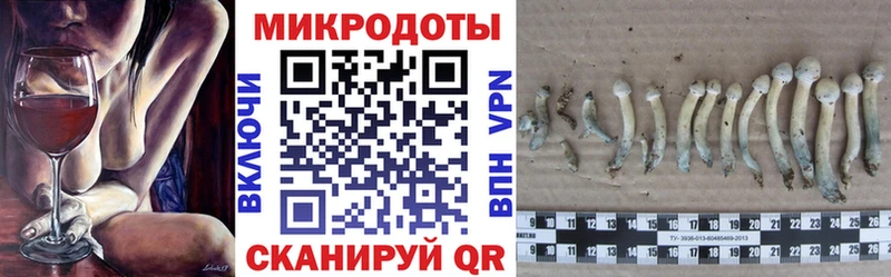 Псилоцибиновые грибы мицелий  Купить где  Белебей 
